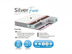 Матрас Silver Five в Усть-Куйге - ust-kujga.mebel-nsk.ru | фото